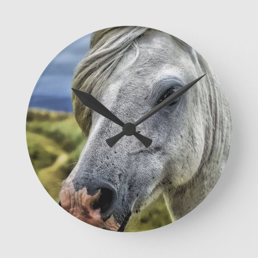 Horloge murale du cheval gris / blanc (Recto)