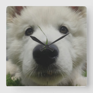 Horloge murale du chien berger suisse - Chien à pl