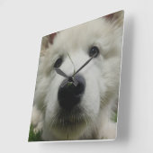 Horloge murale du chien berger suisse - Chien à pl (Angle)