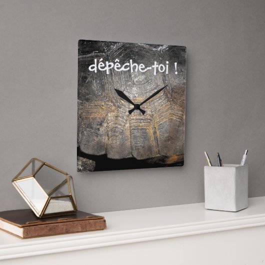 Horloge murale en carapace de tortue gopher (Bureau)
