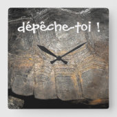 Horloge murale en carapace de tortue gopher (Recto)