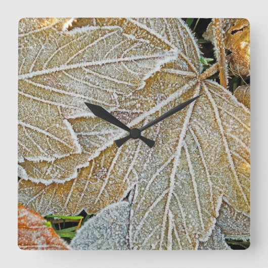 Horloge murale feuilles gelées (Recto)