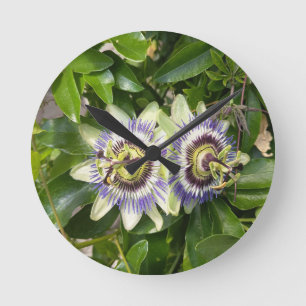 Horloge murale fleur de la passion violette