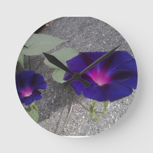 Horloge murale fleur de Morning Glory (Recto)