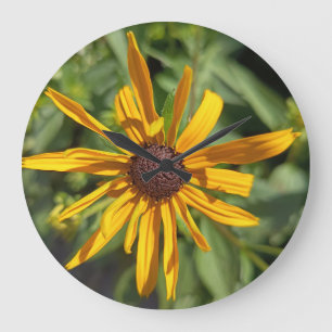 Horloge murale florale Black-Eyed Susan   Sauvage 