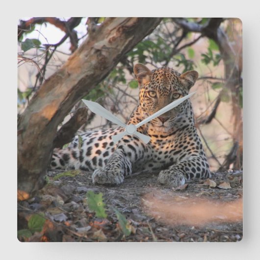 Horloge murale léopard (Recto)