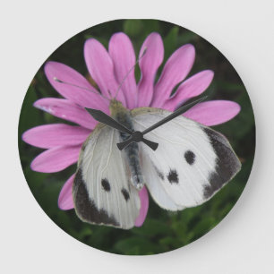 Horloge murale papillon et rose
