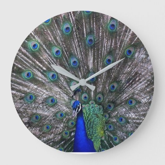Horloge murale Peacock (Recto)