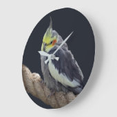 Horloge murale perroquet oiseau câlin (Angle)