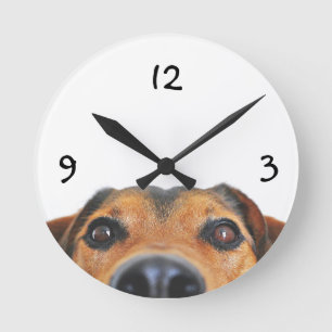 Horloge murale personnalisée pour animaux