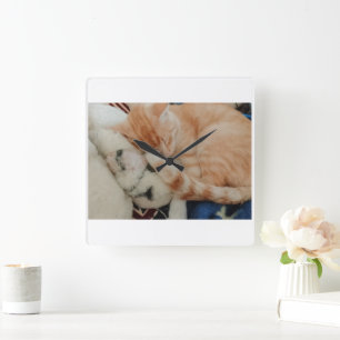Horloge murale photo de chat endormi