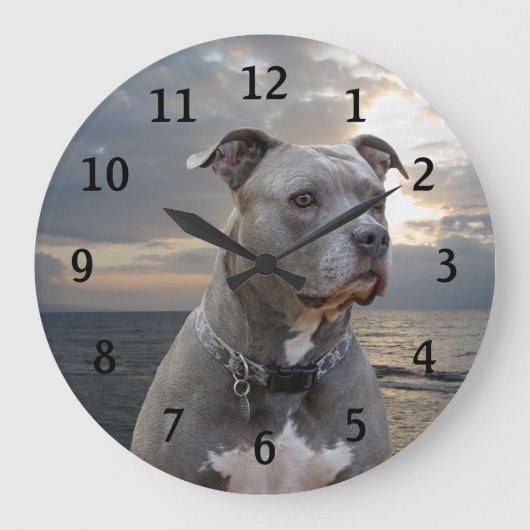 Horloge murale Pitbull du gardien (Recto)