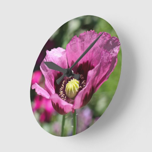 Horloge murale pourpre (Angle)