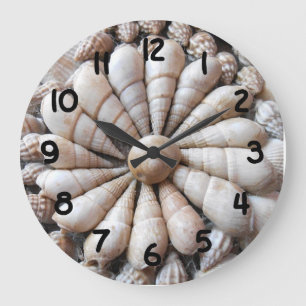Horloge murale ronde de beau grand coquillage