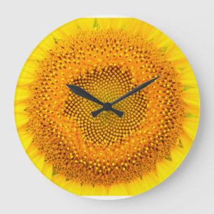 Horloge murale ronde de tournesol (grande)