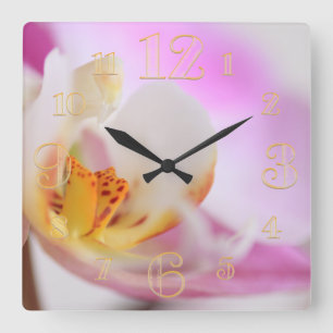 Horloge murale rose de macro d'orchidée