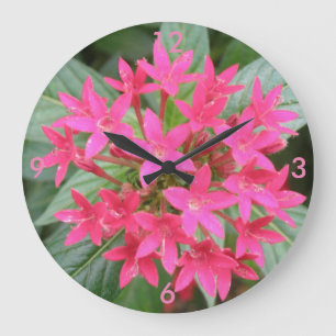 Horloge murale rose vif Fleurs tropicales