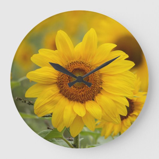 Horloge murale tournesol (Recto)