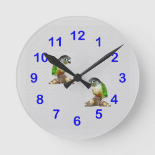 Horloge murale verte de Conure de joue