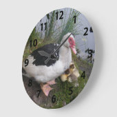 Horloge Muscovy Canard Et Canards (Angle)