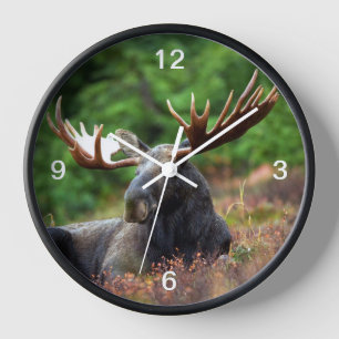 Horloge Oie