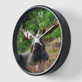 Horloge Oie (Angle)
