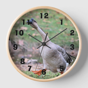 Horloge Oie sotte
