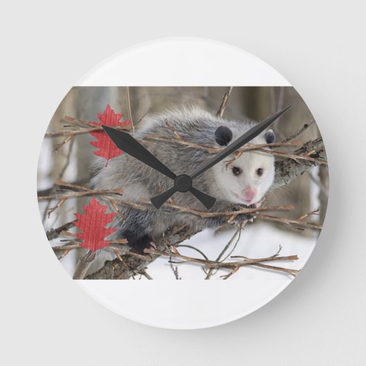 Horloge Opossum (Recto)
