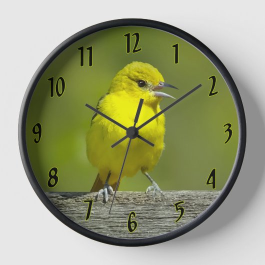 Horloge Orchard Oriole - Photo originale (Recto)