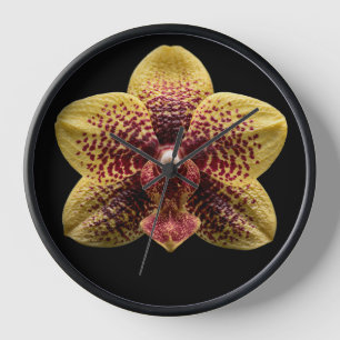 Horloge Orchidée sur fond noir
