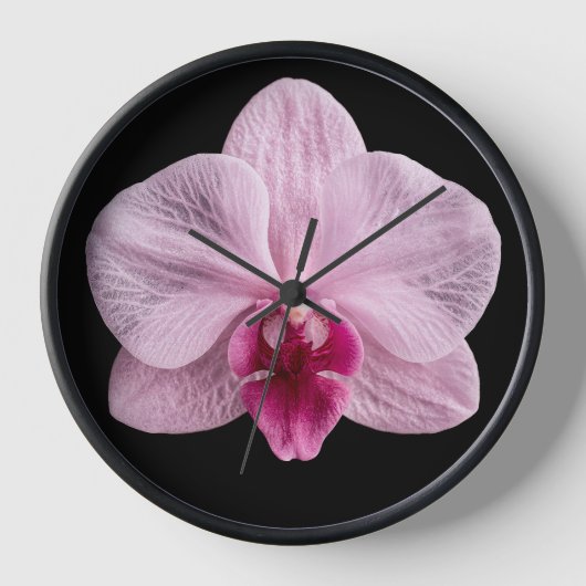 Horloge Orchidée sur fond noir (Recto)