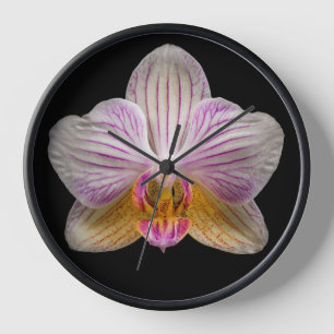 Horloge Orchidée sur fond noir