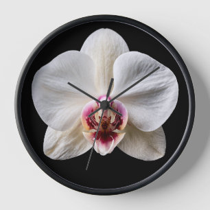 Horloge Orchidée sur fond noir