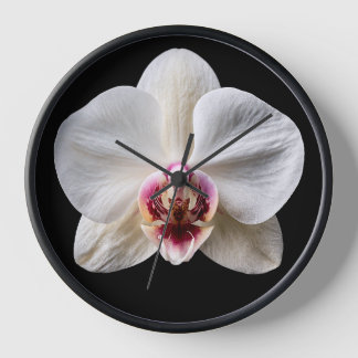Horloge Orchidée sur fond noir