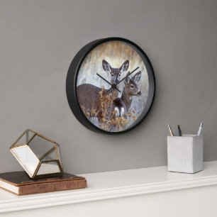 Horloge Paire de cerfs mulet sauvages Californie
