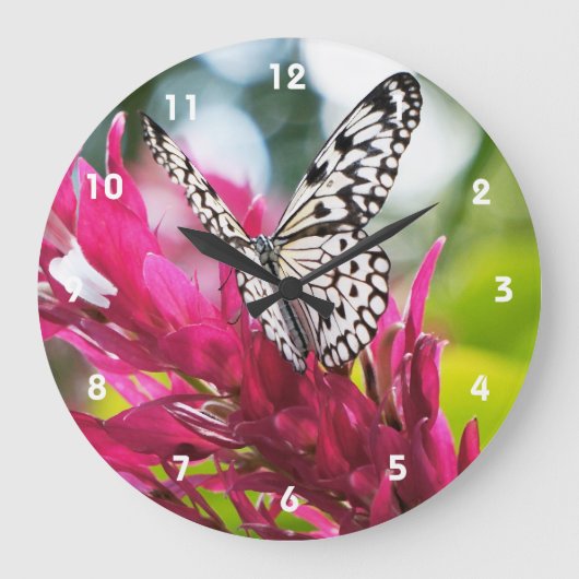 Horloge papillon (Recto)