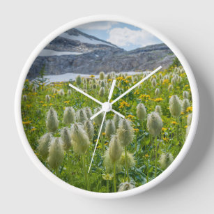 Horloge Pasqueflower occidental   Monts East Kootenay