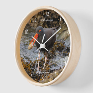 Horloge Pêche à la plage d'Oystercatcher noir