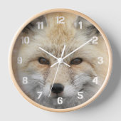 Horloge Photo de la faune de Red Fox (Recto)