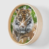 Horloge Photo de la faune du tigre de Sumatran (Angle)