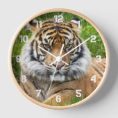 Horloge Photo de la faune du tigre de Sumatran (Recto)