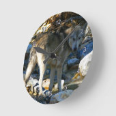 Horloge photo Gray Wolf & Stony Creek (Angle)