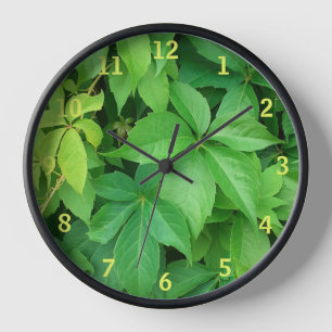 Horloge Photo Green Virginia Creeper Foliing