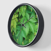 Horloge Photo Green Virginia Creeper Foliing (Angle)