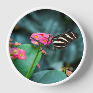 Horloge Photographie de papillon sur fleur rose