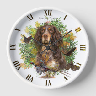Horloge Picardy Spaniel, Épagneul Picard