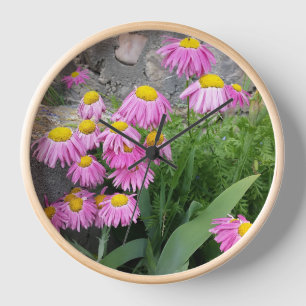 Horloge Pink Peint marguerite Fleurs Nature photographie