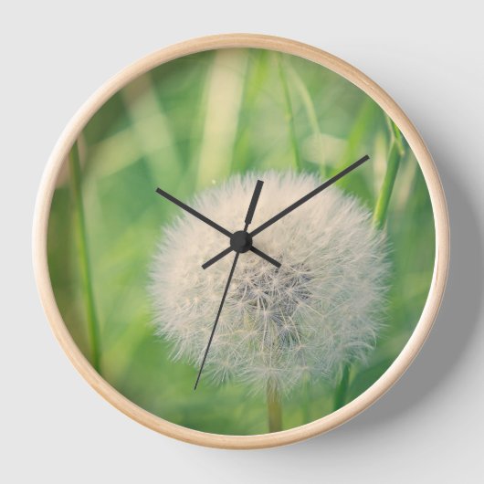 Horloge Pissenlit dans un conte de fée (Recto)