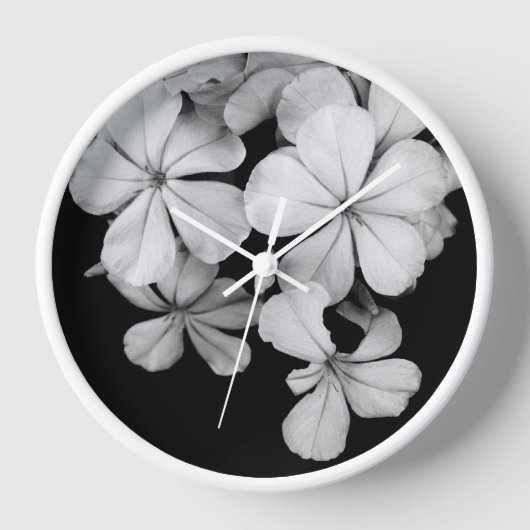 Horloge Plumbago n&b (Recto)