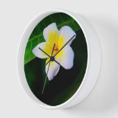 Horloge plumeria (Angle)